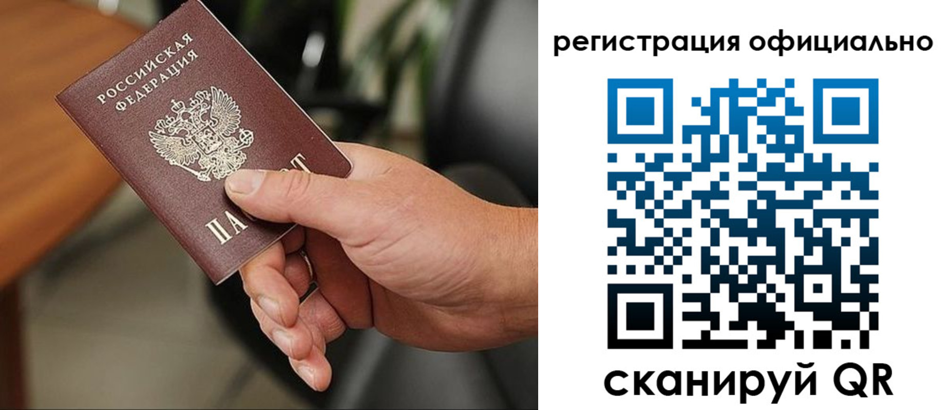 прописка гарантия в Нелидово