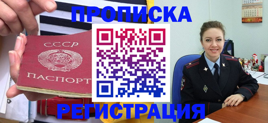 где прописаться в Нелидово